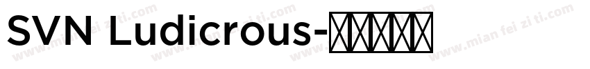 SVN Ludicrous字体转换